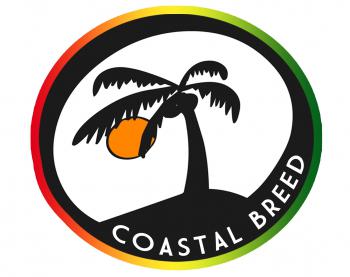 Coastal Breed band photo
