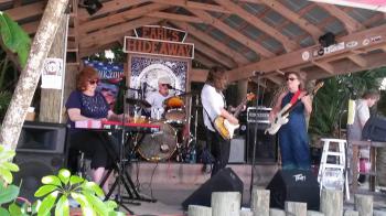 Bees, The band photo