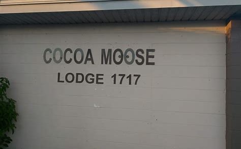 Cocoa Moose 1717